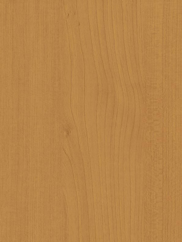 Medena jela-CoverStyl HR