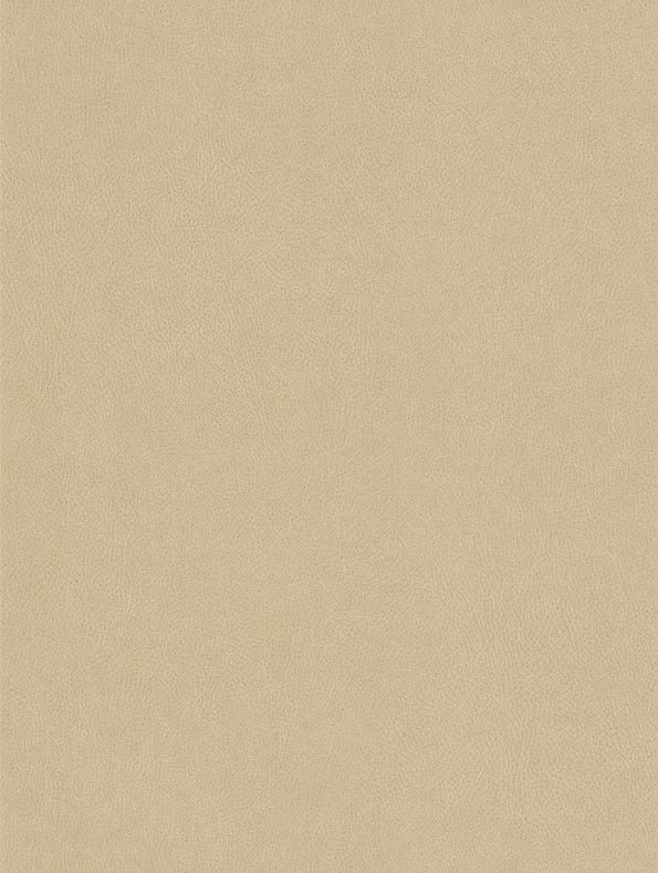 Kašmir-CoverStyl HR