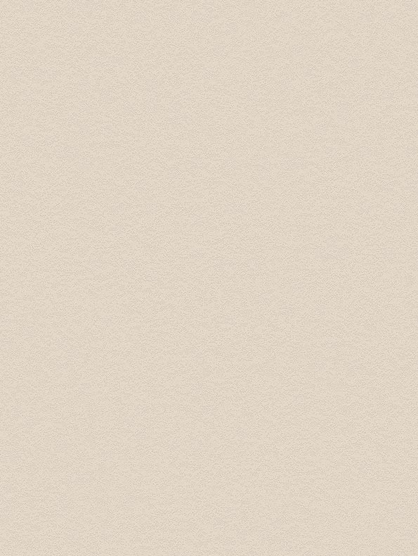 Snježni štuk-CoverStyl HR