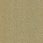 Šampanjac-CoverStyl HR